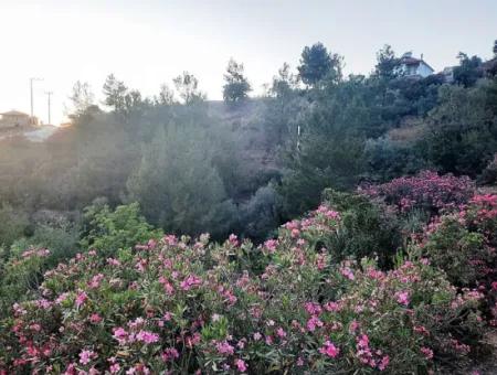 Muğla Ortaca Gökbel De Satılık Müstakil Tapulu 238 M2 Hobi Bahçesi Arazi
