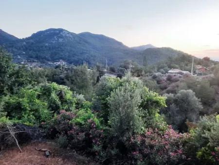 Muğla Ortaca Gökbel De Satılık Müstakil Tapulu 238 M2 Hobi Bahçesi Arazi
