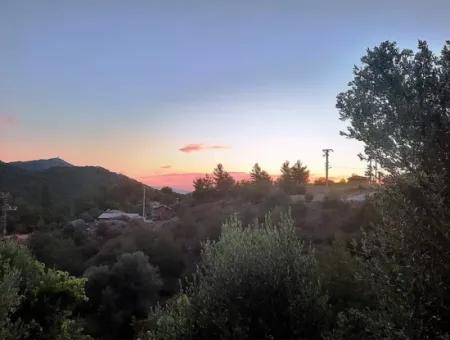 Muğla Ortaca Gökbel De Satılık Müstakil Tapulu 238 M2 Hobi Bahçesi Arazi