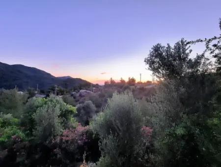 Muğla Ortaca Gökbel De Satılık Müstakil Tapulu 238 M2 Hobi Bahçesi Arazi