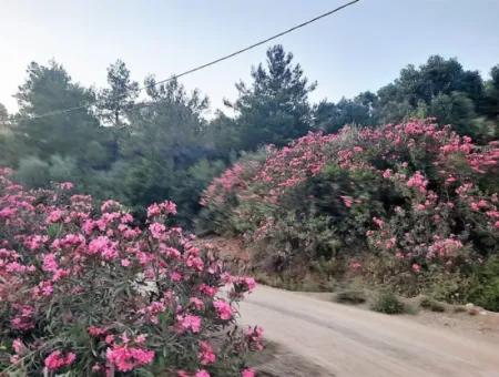 Muğla Ortaca Gökbel De Satılık Müstakil Tapulu 238 M2 Hobi Bahçesi Arazi