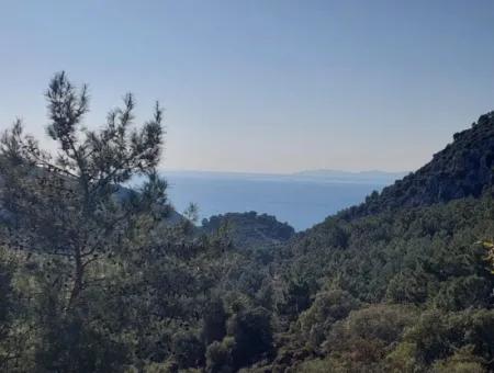 Ortaca Gökbelde Müstakil Tapulu Deniz Manzaralı 5.216 M2, 2B Arazi Satılık