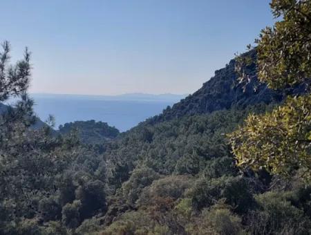 Ortaca Gökbelde Müstakil Tapulu Deniz Manzaralı 5.216 M2, 2B Arazi Satılık