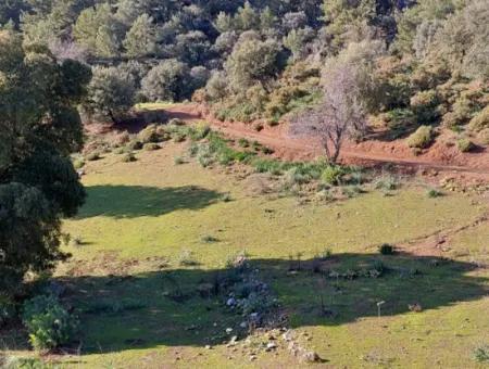 Ortaca Gökbelde Müstakil Tapulu Deniz Manzaralı 5.216 M2, 2B Arazi Satılık
