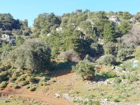 Ortaca Gökbelde Müstakil Tapulu Deniz Manzaralı 5.216 M2, 2B Arazi Satılık