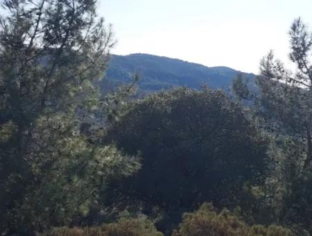 Ortaca Gökbelde Müstakil Tapulu Deniz Manzaralı 5.216 M2, 2B Arazi Satılık