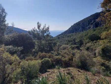 Ortaca Gökbelde Müstakil Tapulu Deniz Manzaralı 5.216 M2, 2B Arazi Satılık