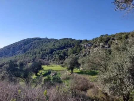 Ortaca Gökbelde Müstakil Tapulu Deniz Manzaralı 5.216 M2, 2B Arazi Satılık
