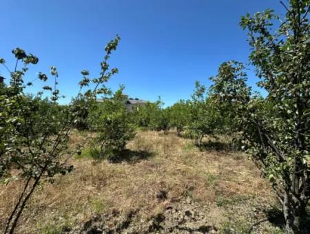 Ortaca Merkez De 650 M2 % 30 İmarlı Arsa Satılık