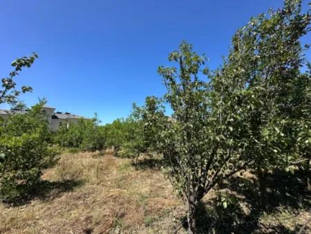 Ortaca Merkez De 650 M2 % 30 İmarlı Arsa Satılık
