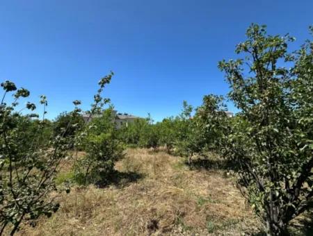 Ortaca Merkez De 650 M2 % 30 İmarlı Arsa Satılık