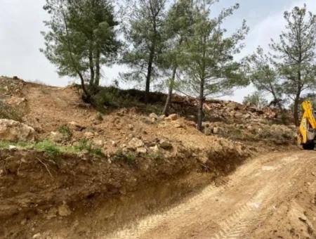 Milas Karacahisarda 2500 M2 Düz Verili Müstakil Arazi Acil Satılık, Teklife Açık