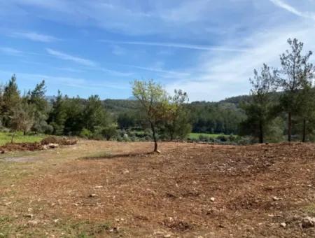 Milas Karacahisarda 2500 M2 Düz Verili Müstakil Arazi Acil Satılık, Teklife Açık