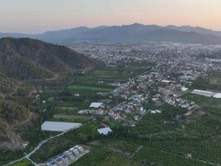 Ortaca Çaylı’da 150 M² İnşaat Hakkı Olan Müstakil 5.000 M² Limon Bahçesi Satılık Veya Takas