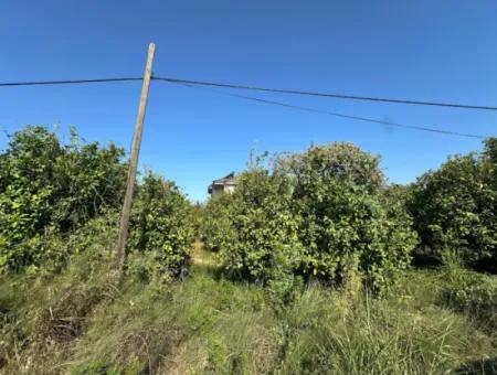 Ortaca Fevziye De 529 M2 Köşe Parsel Arsa Satılık