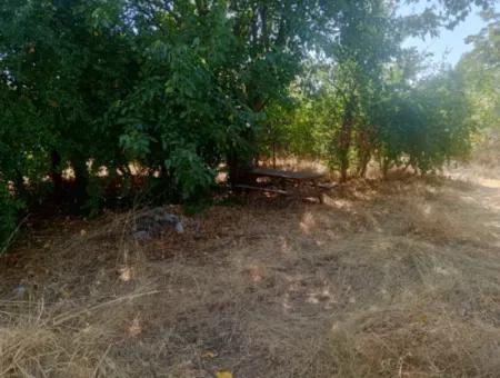 Köyceğiz - Köyceğiz Mah. 3+1 Eşyalı Müstakil Ev Kiralık