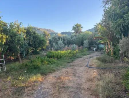 Muğla, Ortaca, Okçularda Konumu İyi  650 M2 Konut  İmarlı Arsa  Satılık