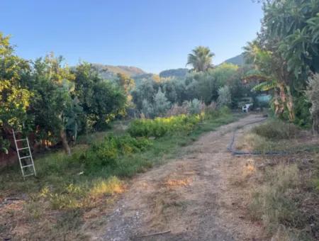 Muğla, Ortaca, Okçularda Konumu İyi  650 M2 Arsa Acil Satılık