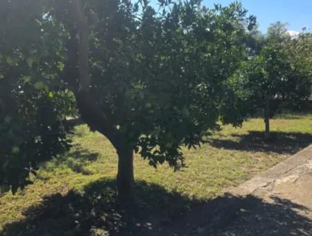 Ortaca Akıncı Sarıgerme Yoluna Sıfır 902 M2 Arsada 2+1, 70 M2 Köy Evi Satılık