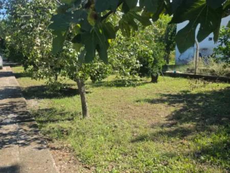 Ortaca Akıncı Sarıgerme Yoluna Sıfır 902 M2 Arsada 2+1, 70 M2 Köy Evi Satılık