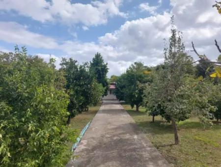 Ortaca Akıncı Sarıgerme Yoluna Sıfır 902 M2 Arsada 2+1, 70 M2 Köy Evi Satılık