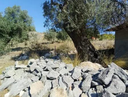 Ortaca Gökbel De  763 M2 Arazide, Kaba İnşaat 1+1 Prefabrik Ev Satılık