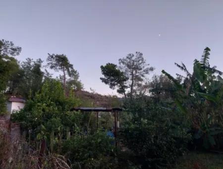 Ortaca Çaylı Da 350 M2 Müstakil Tiny House Uygun Arazi Satılık