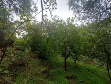 Muğla Fethiye İnlice’de Doğa İçinde Satılık Tapulu Köy Evi