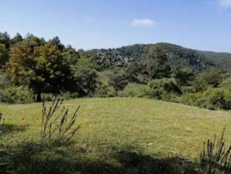 Muğla Ortaca Gökbelde 3200 M2 Hisseli Arazi Satılık