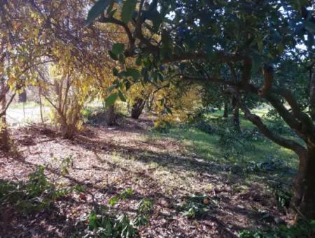 Ortaca Okçularda  250 M2 İnşaat Hakkı Olan, 1000M2 Müstakil Arsa Satılık