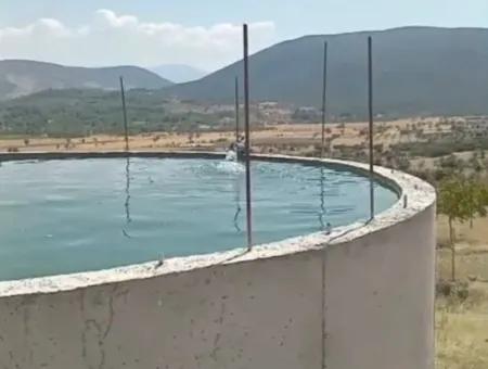 Denizli Tavas Ulukentte 37.000 M2 Ceviz Bahçesi Satılık