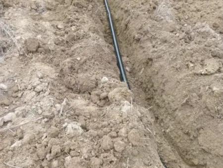 Denizli Tavas Ulukentte 37.000 M2 Ceviz Bahçesi Satılık