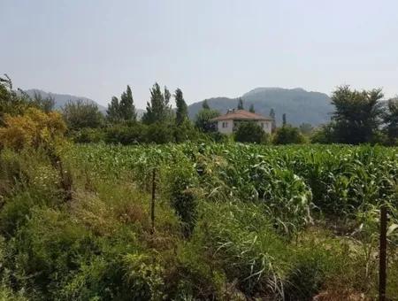 Muğla Ortaca Okçularda Satılık Yatırıma Uygun 3000 M2 Arsa