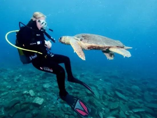 Dalyan Fotoğrafları